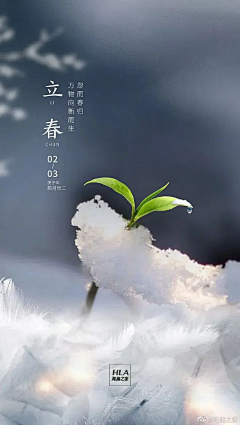 maro丶采集到节日节气