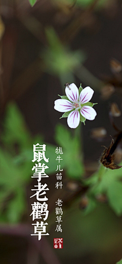 烟后冥思采集到摄影 壁纸