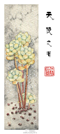 天使之泪 多肉 水彩