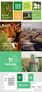 Advertising  after effects agriculture animals animation  brand identity branding  graphics logo Logo Design