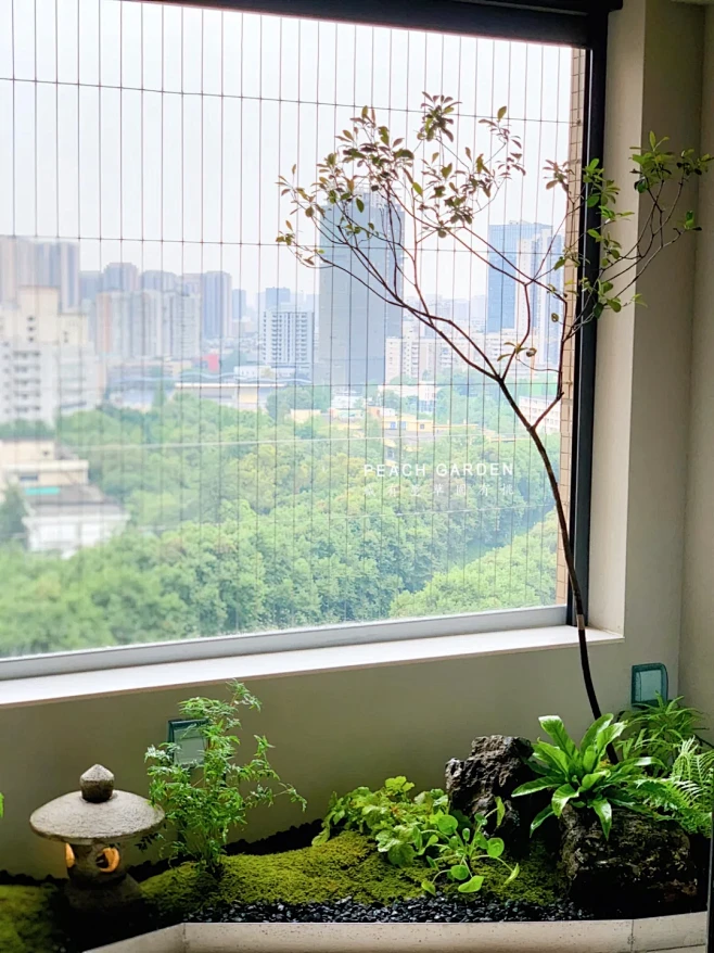 景观阳台2平方的治愈｜海岛春花入景 - ...