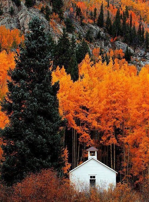 早安，秋天里的小房子。