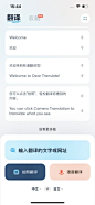 有道翻译官 App 截图 060 - UI Notes