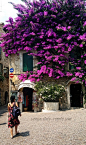 Veneto Village House