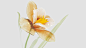 Warm Tranquility 3D glass flower model on Behance
---------------------------------------
我在使用【率叶插件】，一个让花瓣网”好用100倍“的浏览器插件，你也来吧！
> https://app.lvyex.com/?yqr=15132514
