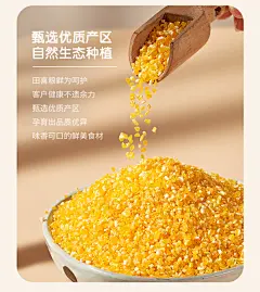 田喜粮鲜 东北碴子（玉米碴子 玉米碎 粗粮杂粮 可与大米搭配 玉米糁 玉米粒 大碴子） 罐装420g【图片 价格 品牌 报价】-京东