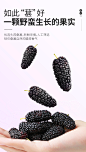 杞里香桑葚干黑桑椹特.级桑椹干果大颗粒配黑枸杞泡水泡茶小零食-tmall.com天猫