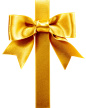 金色丝带，蝴蝶结，礼品打包结.png