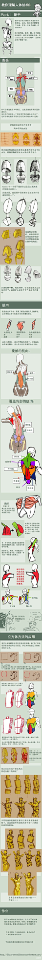 经典人体教材合集！小编找了好久！送给大家！~【SAI视频教程】从零开始学插画O网页链接