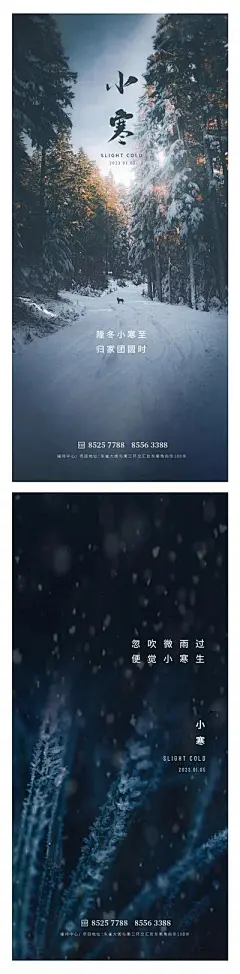 【南门网】广告 海报 地产 小寒 节气 树木 树林 雪路 阳光 雪花 植物
