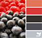 BerryPalette600