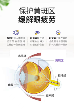 沙画师木一采集到常规详情关联