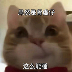 眼底尽是温柔丶采集到卡通人物表情包