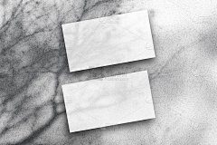 名片模型。自然的叠加光线遮蔽了树木。