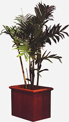 手绘园林植物景观免抠素材_新图网 https://ixintu.com 园林 景观 植物 素材