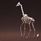 Giraffe, Jess O'Neill : Sculpted and painted in ZBrush from skeleton to skin.