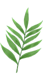 [ 乐分享 ] PNG高清免植物 