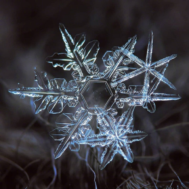 来看看微距镜头下的雪花 ，这是大自然送给...