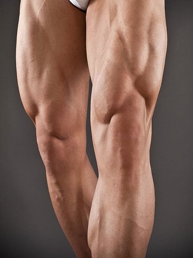 Legs (Front Aspect) ...