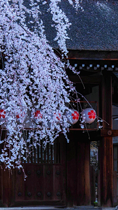 未眠أا采集到风景-建筑