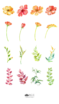 Brilliant-Water手绘树叶鲜花元素_PNG：