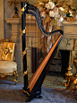 Black Gold Laurel Leaf Classic Column Harp - love the harp - if I could learn an instrument, this is what it would be...