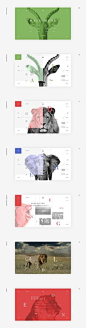 Namibia Animal Park on Behance:
