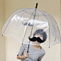 【U-PICK原品生活】 阿波罗透明雨伞-胡子 创意长柄半自动泡泡伞