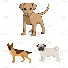 分离着色,自然,动物,一个物体,图标,可爱的,乡村,纯种犬,布置,收集