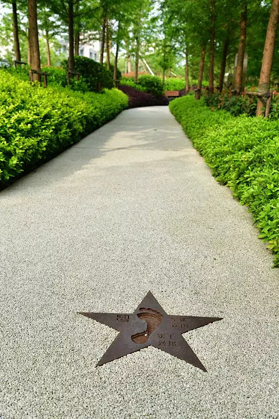 红星闪闪 话初心 | 德清雷甸党建公园_...