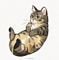 ins：gentleeeeeeecat

作者：GENTLECAT