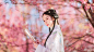 三生三世，十里桃花