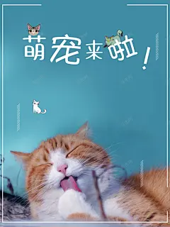 萌宠宠物店促销海报高清素材 动物医生 宠物店 宠物店促销海报 宠物美容馆 宠物造型 狗 猫咪 猫脚印 萌宠 背景底图 背景 设计图片 免费下载 页面网页 平面电商 创意素材