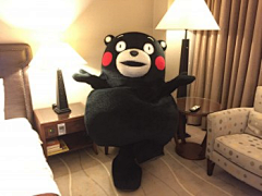 凉风子采集到霓虹·KUMAMON