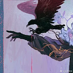 鸟人图片大全-鸟人高清好看的图片--花瓣恒hengheng的画板