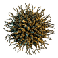 三维渲染现代科学化学蜂窝珊瑚有机生物抽象3D形状PNG素材11