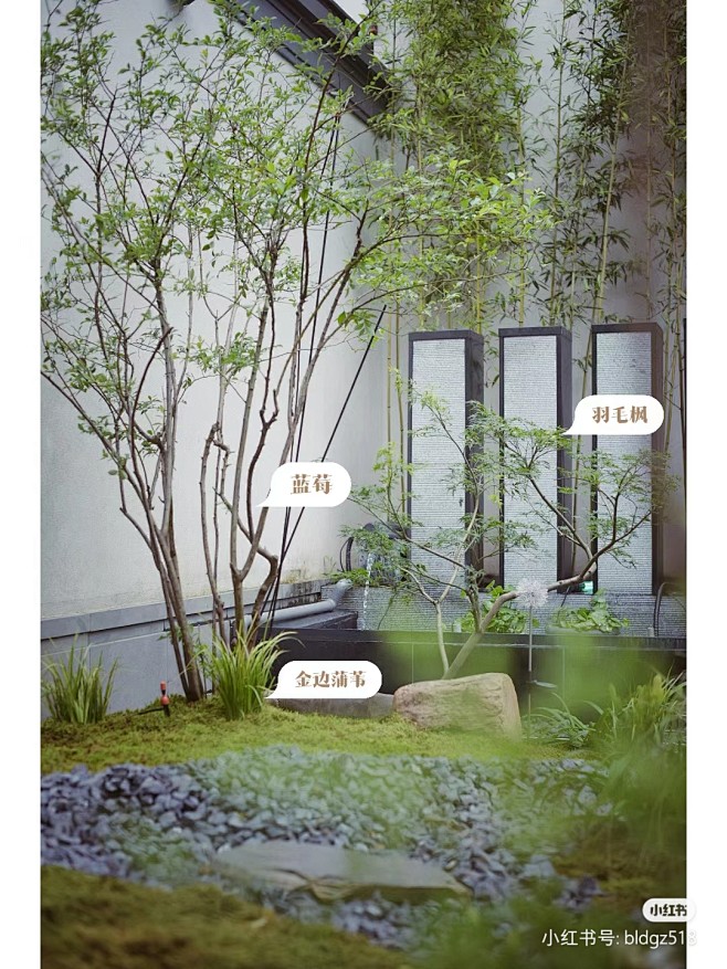 庭院植物配置