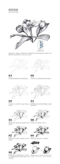本案例摘自人民邮电出版社出版、爱林文化主编的《黑白花意4——笔尖下的经典花语绘》--爱林文化制作
