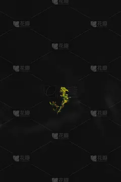 黄色植物孤立在黑色和白色背景，有用的手机壁纸和网站。