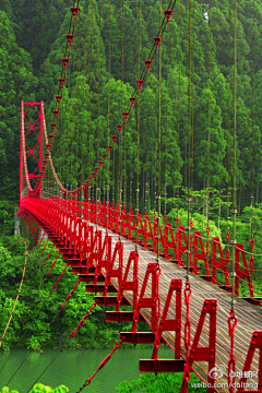 清秋湖南采集到旅游画册