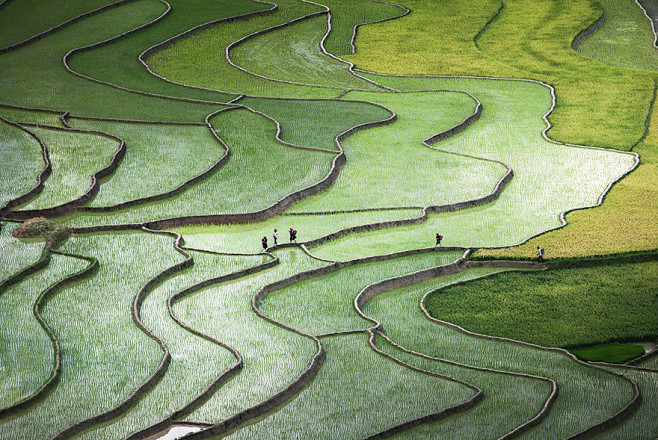 15---亚洲各地的稻田，美到惊叹！摄影...