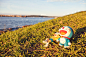 Doraemon Travelling！ : 哆啦A梦