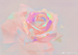 bfee4305ly1fo0xuke9q8j22pg1wwhdt