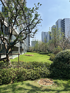 白小碎🐈采集到美景
