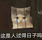 @西野信平