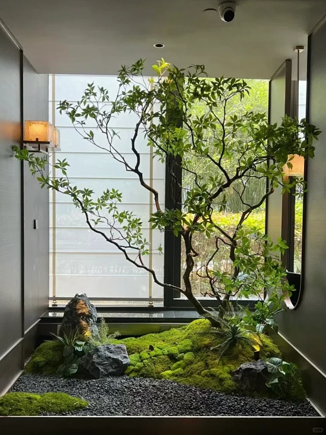 新中式 闲云野鹤 室内绿植造景 - 小红书