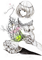 插画赏