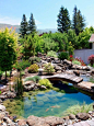 53 Cool Backyard Pond Design Ideas | DigsDigs: 