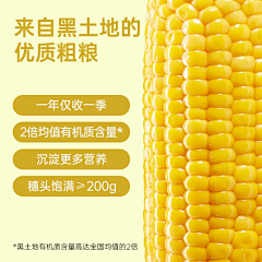 麦麦麦麦旋风ヾ采集到玉米