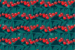 樱桃,水果,四方连续纹样,油菜花,生物学,可爱的,纺织品,环境,熟的,壁纸